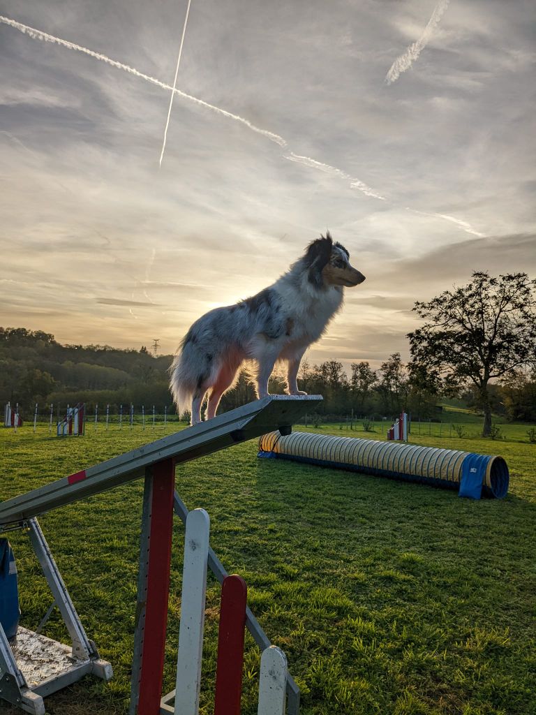 Relou la bleue De L'odyssée D'alcane