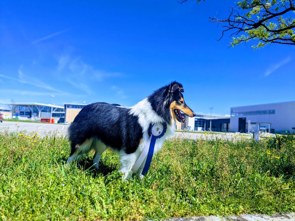 Une passion ravageuse De L'odyssée D'alcane