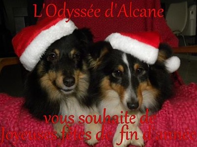 De L'odyssée D'alcane - Bonnes fêtes de fin d'année.