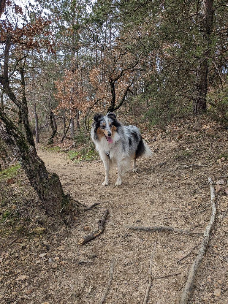 Relou la bleue De L'odyssée D'alcane