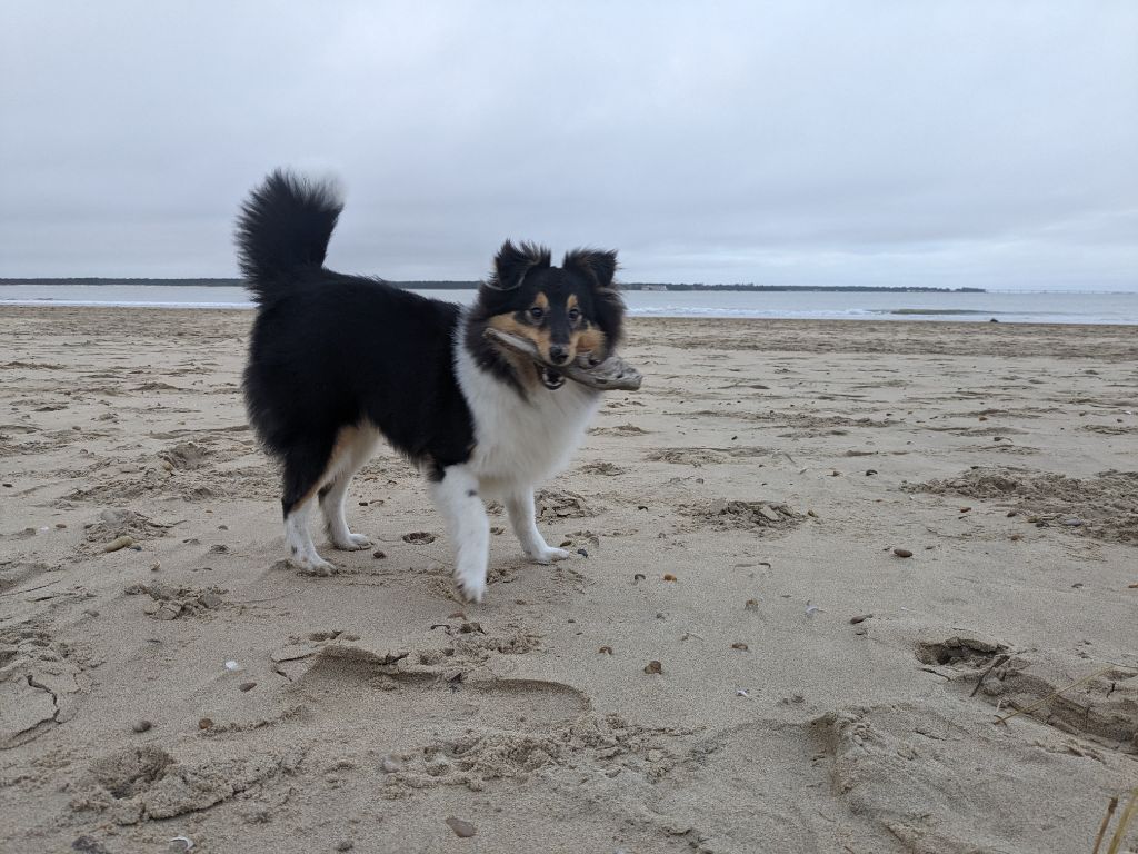 Une passion ravageuse De L'odyssée D'alcane