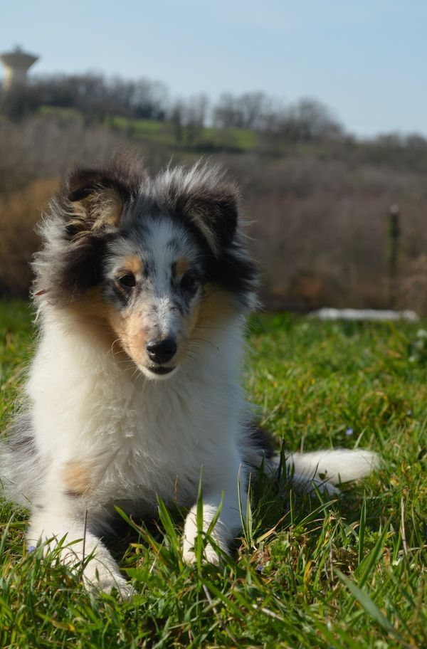 Relou la bleue De L'odyssée D'alcane