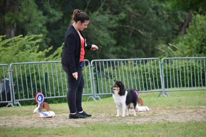 Une passion ravageuse De L'odyssée D'alcane