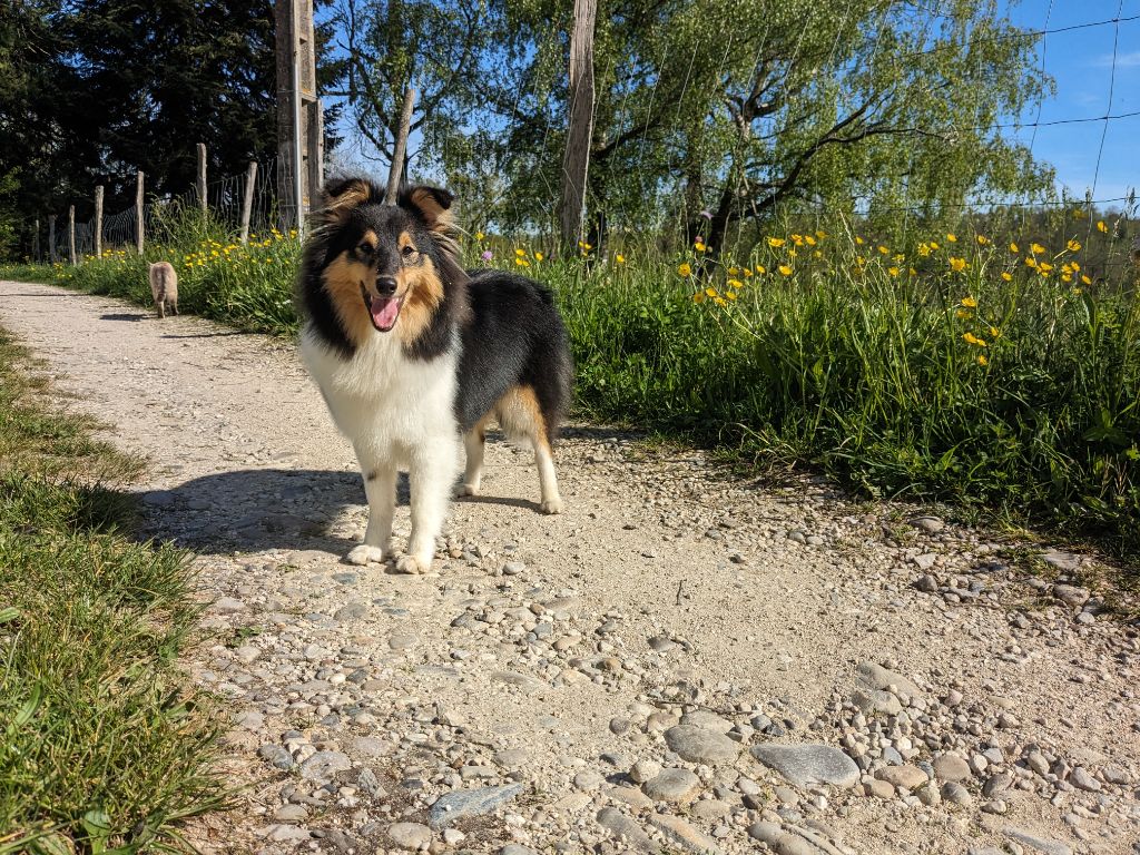 Une passion ravageuse De L'odyssée D'alcane