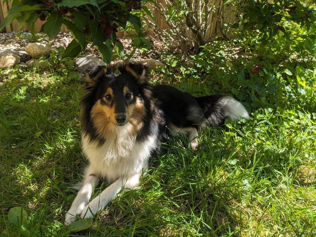 Une passion ravageuse De L'odyssée D'alcane