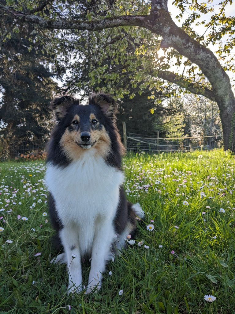 Une passion ravageuse De L'odyssée D'alcane