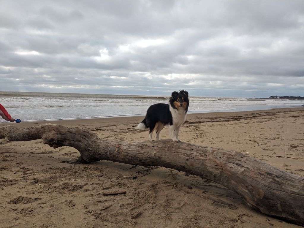 Une passion ravageuse De L'odyssée D'alcane