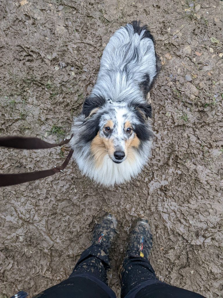 Relou la bleue De L'odyssée D'alcane