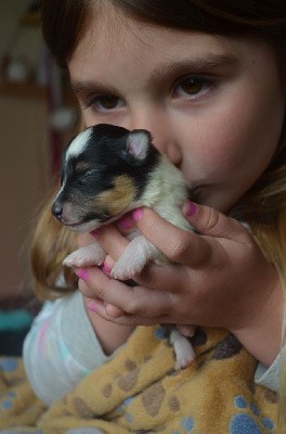 Vaïla de l'Odyssée d'Alcane